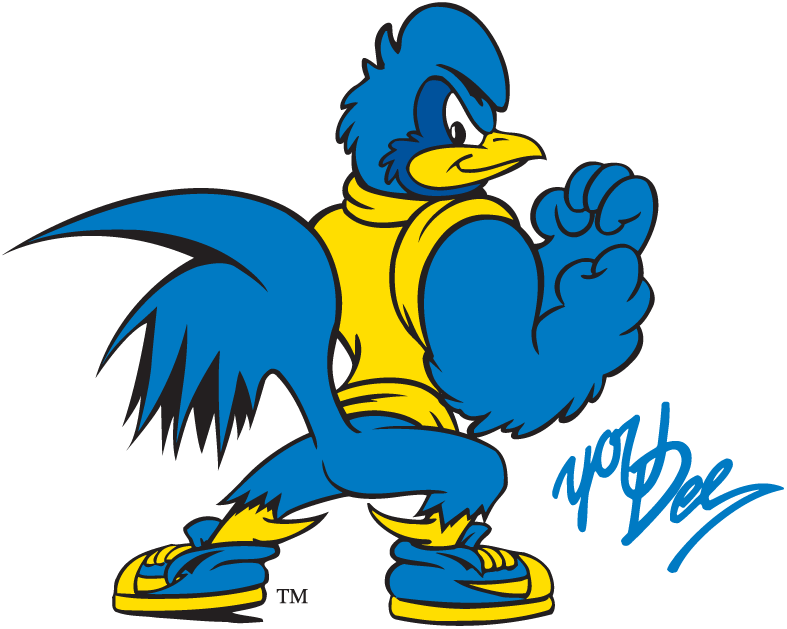 Delaware Blue Hens 1993-Pres Mascot Logo iron on transfers for fabric